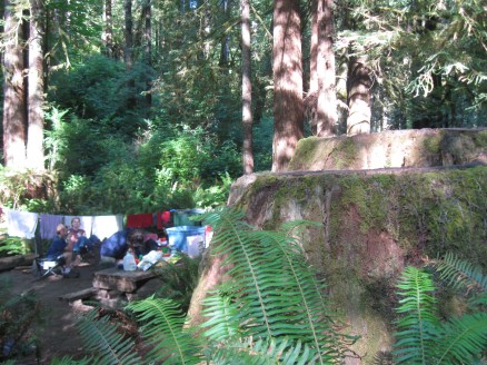 August 18, 2011 Redwoods and Tidal Pool, CA