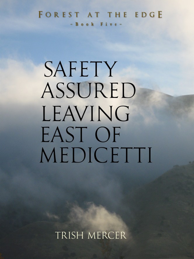 Safety Assured book 5 PreCover