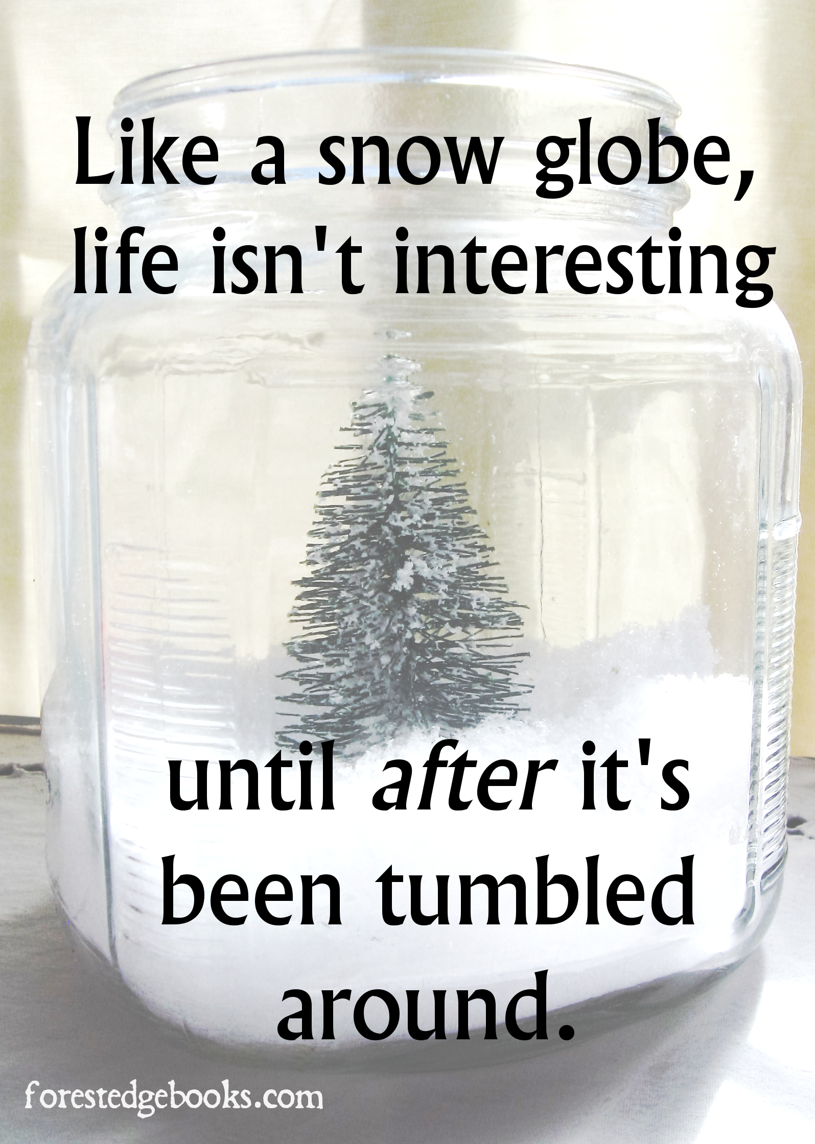 life as a snow globe