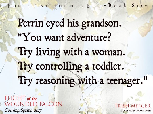 book-6-teaser-marriage-adventure