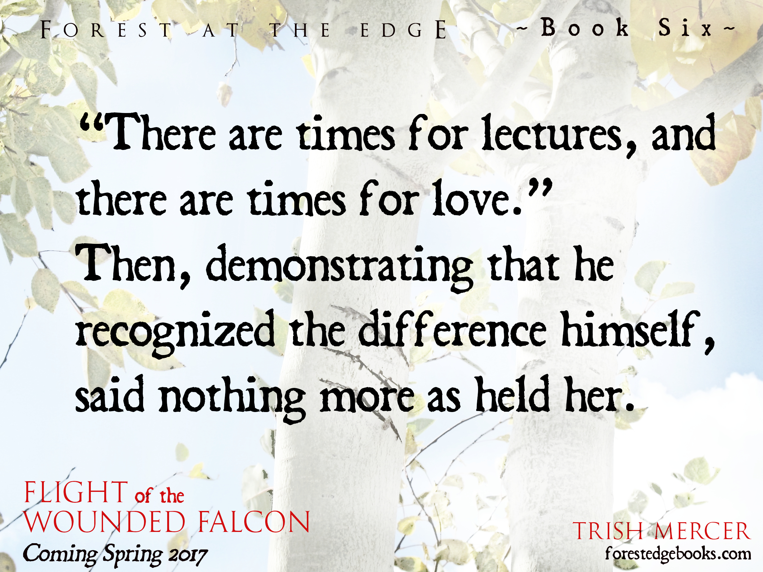 book 6 teaser lectures and love