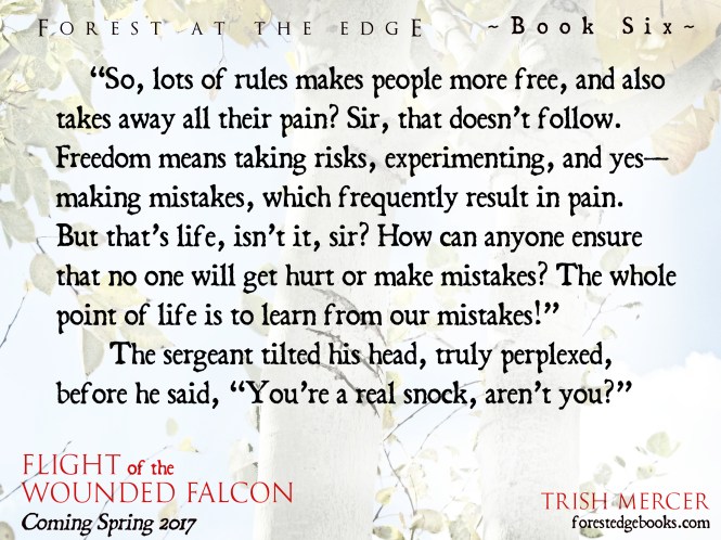 book 6 teaser lots of rules