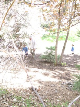 GEDSC DIGITAL CAMERA