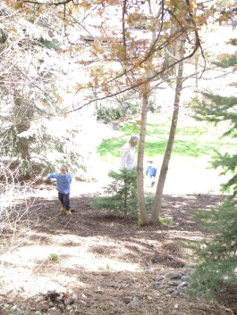 GEDSC DIGITAL CAMERA