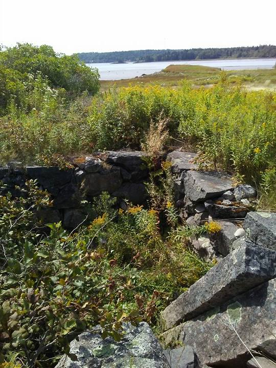 21209141_10210386408920785_449032193_n