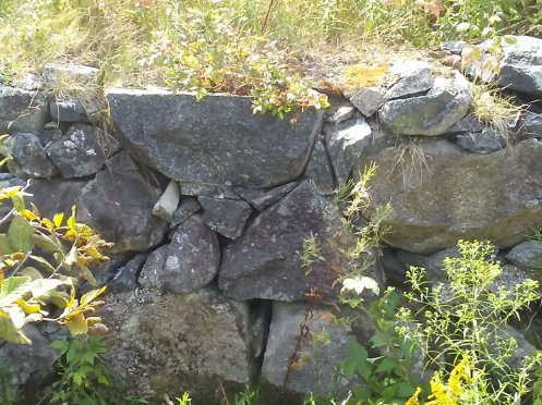 21244500_10210386258237018_534599822_n