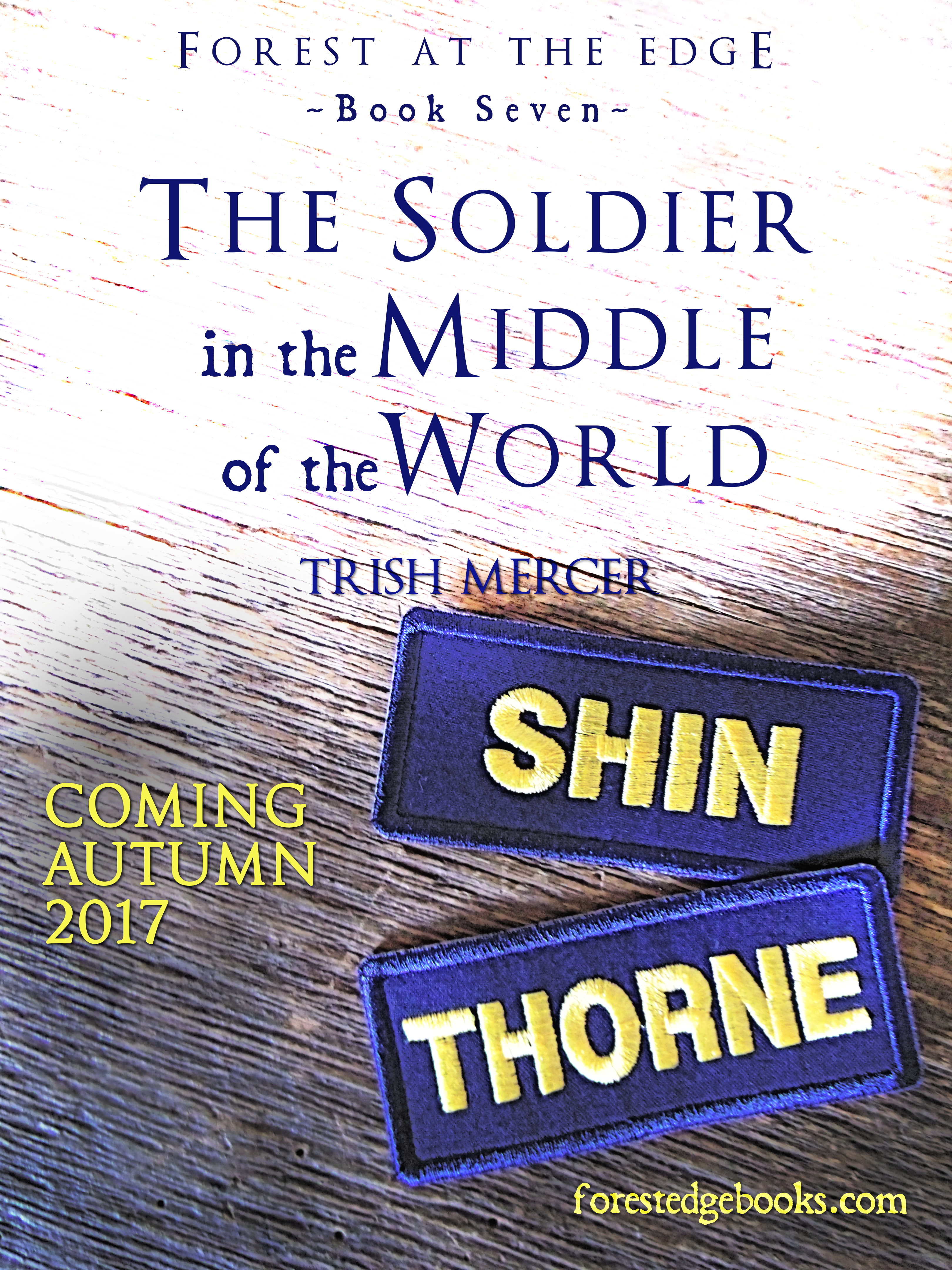 GEDSC DIGITAL CAMERA