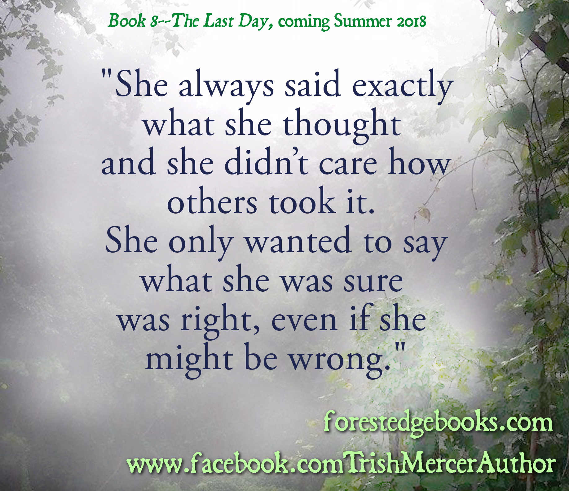 BOOK 8 teaser HORIZONTAL say what you want