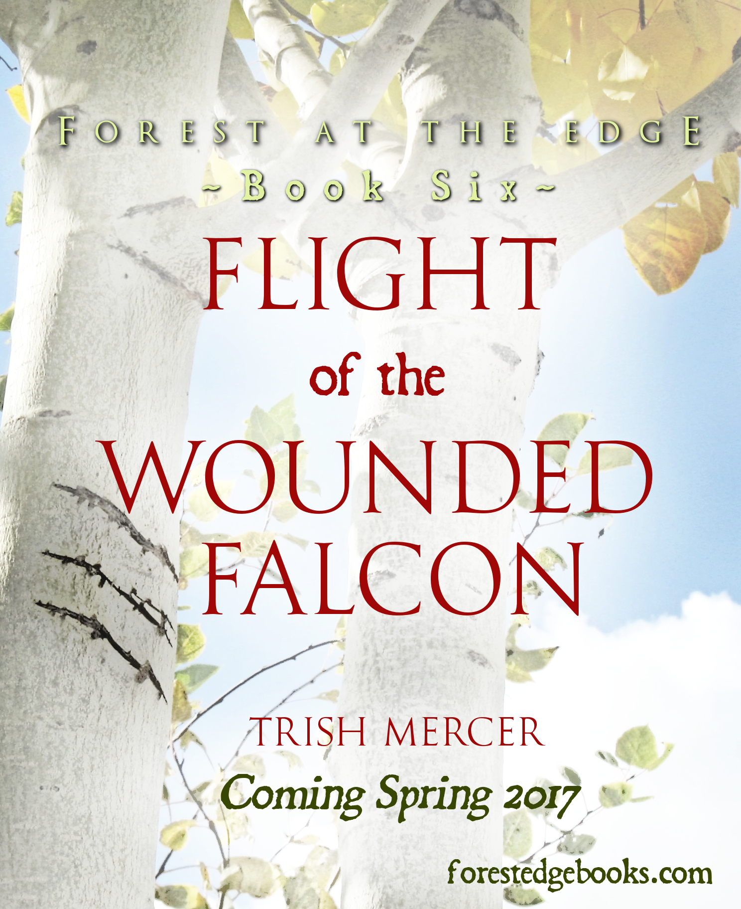 book 6 teaser front cover