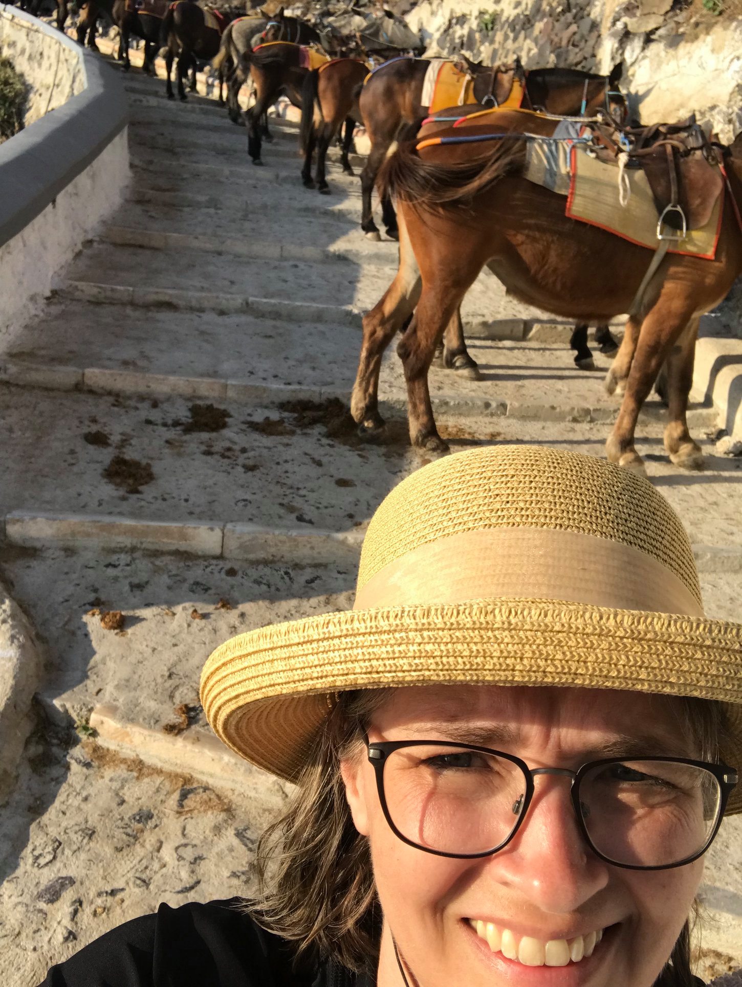 64739952_2354559224600330_3400368347462762496_o