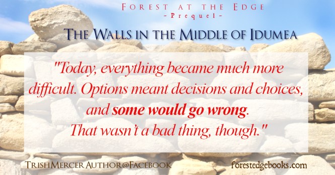 Walls meme horizontal WRONG PATHS